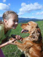 /album/anglicky-kokerspaniel/mia5-jpg/