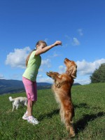 /album/anglicky-kokerspaniel/mia6-jpg/