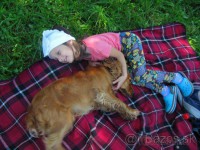 /album/anglicky-kokerspaniel/mia4-jpg/