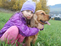 /album/anglicky-kokerspaniel/dscn2422-jpg/