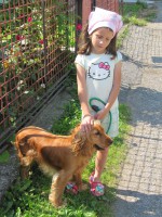 /album/anglicky-kokerspaniel/img-9530-jpg/