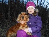 /album/anglicky-kokerspaniel/miuskaa-jpg/