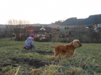 /album/anglicky-kokerspaniel/dscn2745-jpg/