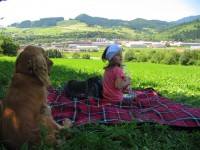 /album/anglicky-kokerspaniel/minka-jpg/