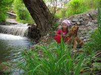 /album/anglicky-kokerspaniel/miuska-jpg/