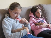 /album/anglicky-kokerspaniel/puppy7-jpg/