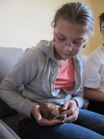 /album/anglicky-kokerspaniel/puppy12-jpg/