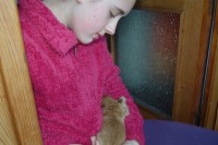 /album/anglicky-kokerspaniel/moje2-jpg/