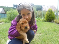 /album/anglicky-kokerspaniel/lady2-jpg/